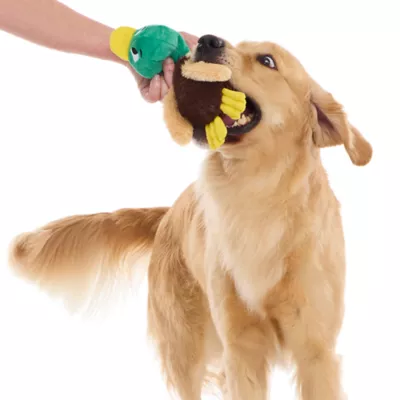 BARK Mal R Duck Dog Toy - Image 3
