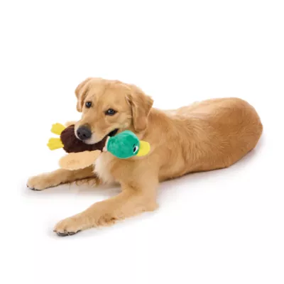 BARK Mal R Duck Dog Toy - Image 4
