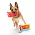 BARK Squeakish Fish Dog Toy image thumbnail 3