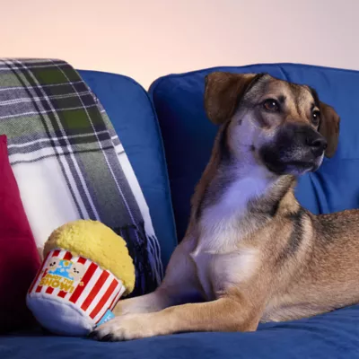 BARK Buttered Chompcorn Dog Toy - Image 3