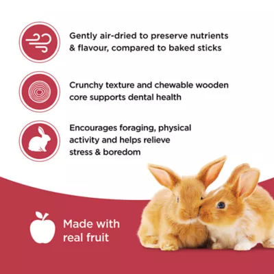 Living World Rabbit Treat Sticks, Fruit Flavour, 2-pack - Image 5
