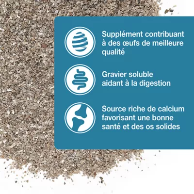 HARI Oyster Shells Bird Supplement - Image 4