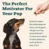 WOOF Love Nuggets All Life Stages Dog Treats - Beef 5 oz image thumbnail 4