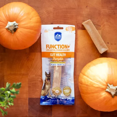 Himalayan Medium Adult Dog Chews - Pumpkin - Image 3