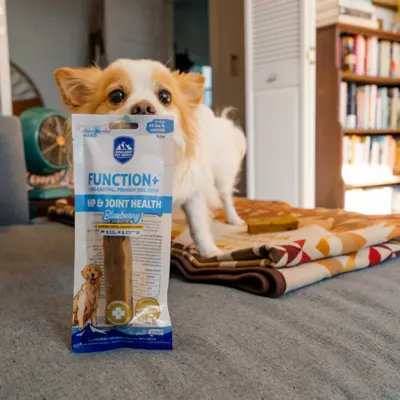 Himalayan Adult Dog Chew - Blueberry - Image 4