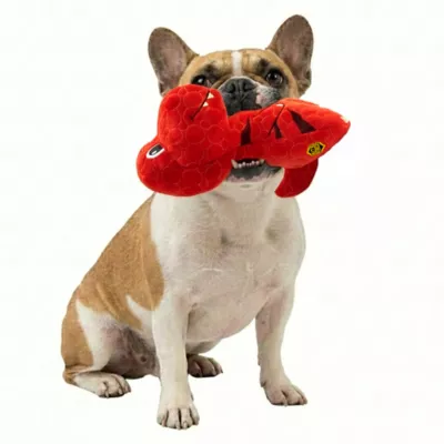 GMASON Bite Force Dino Dog Toy - Image 5