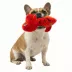GMASON Bite Force Dino Dog Toy image thumbnail 5