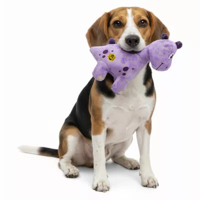 GMASON Bite Force Dino Dog Toy - Image 5