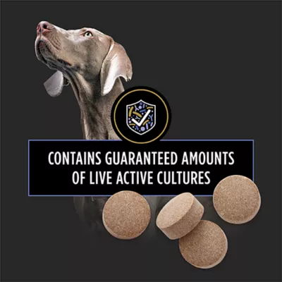 Product Purina Pro Plan Veterinary Diets FortiFlora Chewable Tablets - Digestive Supplement - 90 Count