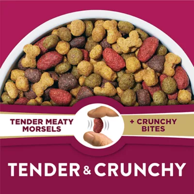 Purina Dog Chow Tender & Crunchy Adult Dog Food - Lam & Turkey - Image 6