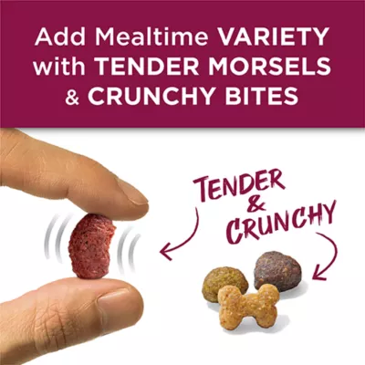 Purina Dog Chow Tender & Crunchy Adult Dog Food - Lam & Turkey - Image 7