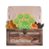Thrills & Chills Wild West Treat Chest Assorted Dog Biscuits, Jerky & Cookies 9.7 OZ image thumbnail 2