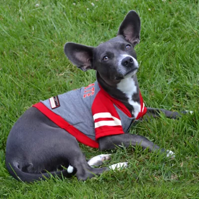 Pets First NC State Hoodie Tee - Image 3