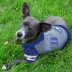 Pets First Duke University Hoodie Tee image thumbnail 2