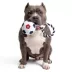 US Soccer Ball Plush With Rope Dog Toys image thumbnail 5