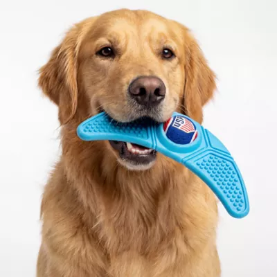 US Soccer Boomerang Dog Toys - Image 5