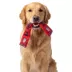 US Soccer Scarf Plush Dog Toys image thumbnail 5