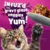 Friskies® Glaz'd & Infuz'd™ Adult Wet Cat Food - In Gravy, 5.5 Oz image thumbnail 4