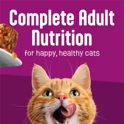 Friskies® Glaz'd & Infuz'd™ Adult Wet Cat Food - In Gravy, 5.5 Oz - Image 7
