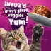 Friskies® Glaz'd & Infuz'd™ Adult Wet Cat Food - In Gravy, 5.5 Oz image thumbnail 4