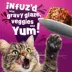 Friskies® Glaz'd & Infuz'd™ Adult Wet Cat Food - Variety Pack, In Gravy, 66 Oz image thumbnail 4