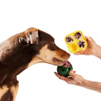 WOOF Pupsicle Treat Tray, Yellow - Image 6
