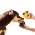 WOOF Pupsicle Treat Tray, Yellow image thumbnail 6