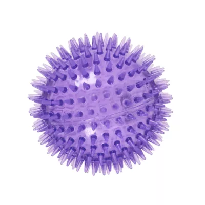 Joyhound® Spikey Ball Dog Toy 4.5 in - Image 1