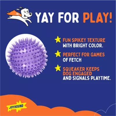Joyhound® Spikey Ball Dog Toy 4.5 in - Image 2