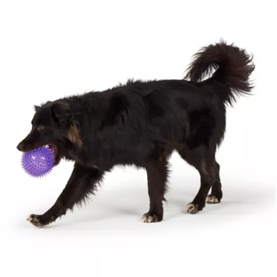 Joyhound® Spikey Ball Dog Toy 4.5 in - Image 3