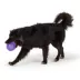 Joyhound® Spikey Ball Dog Toy 4.5 in image thumbnail 3
