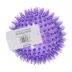 Joyhound® Spikey Ball Dog Toy 4.5 in image thumbnail 6