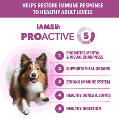 IAMS Proactive Healthy Aging Adult Dog Food - Chicken - Image 3