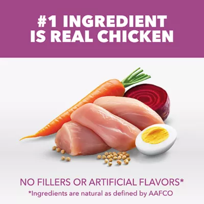 IAMS Proactive Healthy Aging Adult Dog Food - Chicken - Image 4