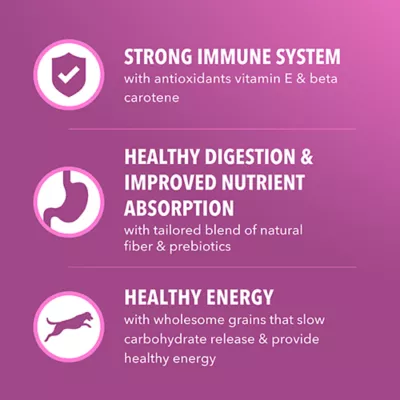 IAMS Proactive Healthy Aging Adult Dog Food - Chicken - Image 5