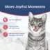 Blue Buffalo Tastefuls Purrfect Moments Lickable Adult Cat Treats - Creamy Puree, 1.2 Oz image thumbnail 4