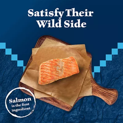Blue Buffalo Wilderness™ Adult Crunchy Cat Treats - Salmon - Image 3