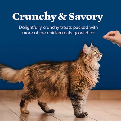 Blue Buffalo Wilderness™ Adult Crunchy Cat Treats - Salmon - Image 6