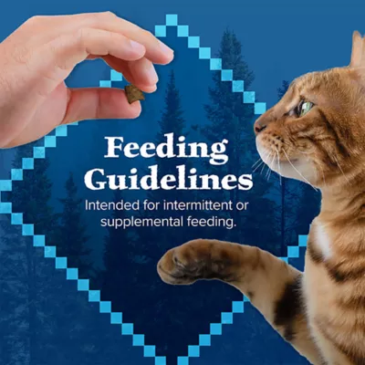 Blue Buffalo Wilderness™ Adult Crunchy Cat Treats - Salmon - Image 8