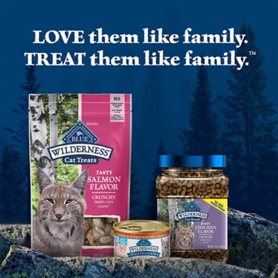 Blue Buffalo Wilderness™ Adult Crunchy Cat Treats - Salmon - Image 9
