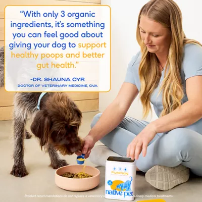 Native Pet Dog Organic Pumpkin Fiber Powder Digestive Supplement, Natural & Organic, 8-32oz - Image 5