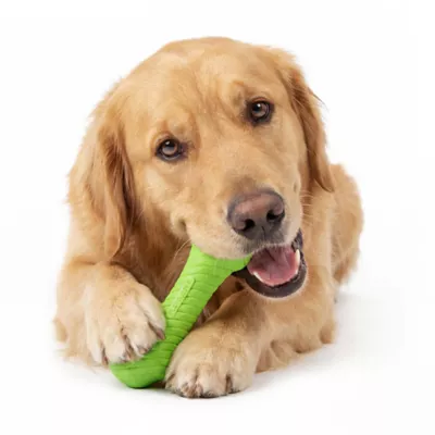 Playology Sweet Potato Scented Crunchy Femur Dog Toy, Jumbo - Image 3