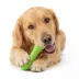 Playology Sweet Potato Scented Crunchy Femur Dog Toy, Jumbo image thumbnail 3