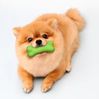 Playology Sweet Potato Scented Dual Layer Bone Dog Toy, Small - Image 3