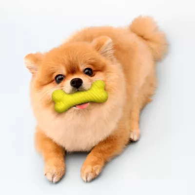 Playology® Chicken Scented Dual Layer Bone Dog Toy, Small - Image 3