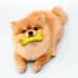Playology® Chicken Scented Dual Layer Bone Dog Toy, Small image thumbnail 3