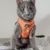 Sassy Meow Garfield Cat Harness image thumbnail 6