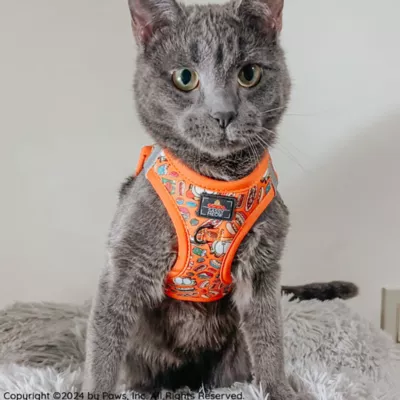 Sassy Meow Garfield Cat Harness - Image 6