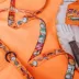 Sassy Meow Garfield Cat Leash image thumbnail 3