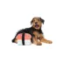 BARK Tuna Sushi Dog Plush Toy image thumbnail 3